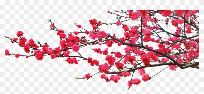 China Dwg Romantic - Tree Romantic Png Clipart