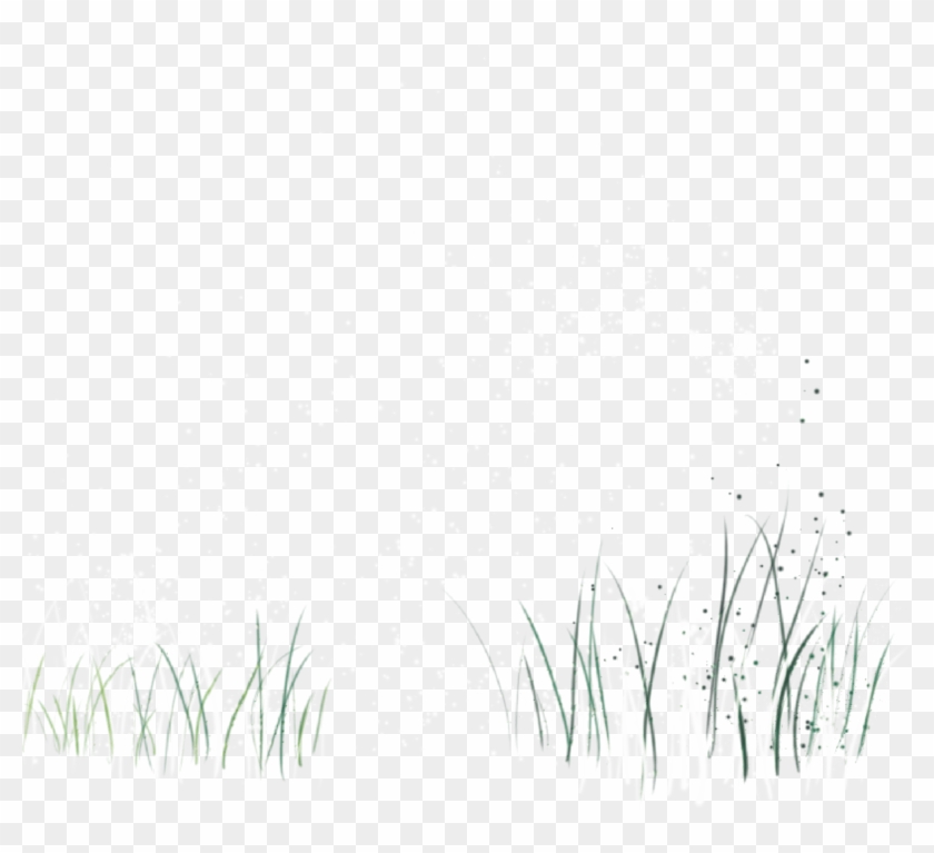 White Black Pattern Green Grass 2478*2146 Transprent - Beyaz Çimen Png Clipart #1879267