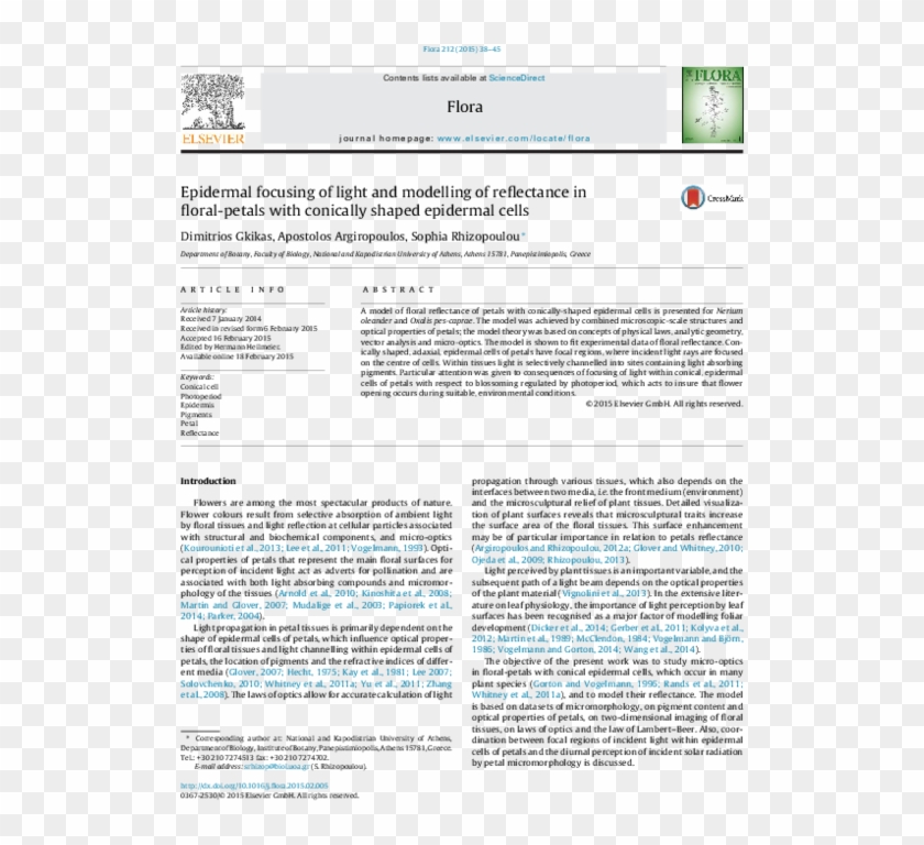 Epidermal Focusing Of Light And Modelling Of Reflectance - Folio Ten From Burchard Of Sion's De Locis Ac Mirabilibus Clipart