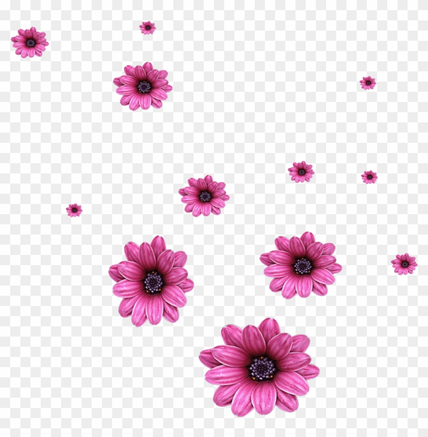 Flower Computer File Flowers Transprent Png Free - Scattered Flowers Png Clipart #1879466