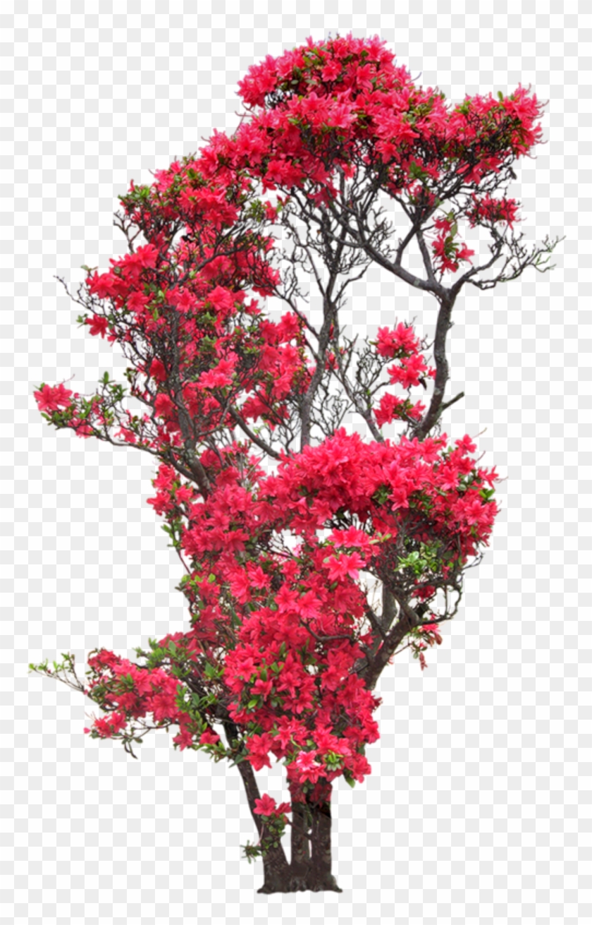 Gifs Fleurs - Rose Flower Tree Png Clipart
