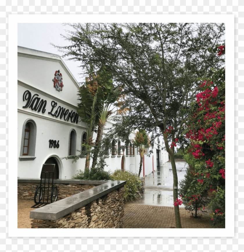 Koorsboom - Holy Places Clipart #1880157