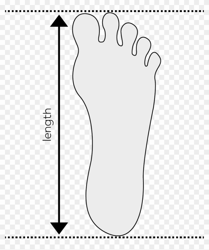 Bougainvillea - Footprint Clipart