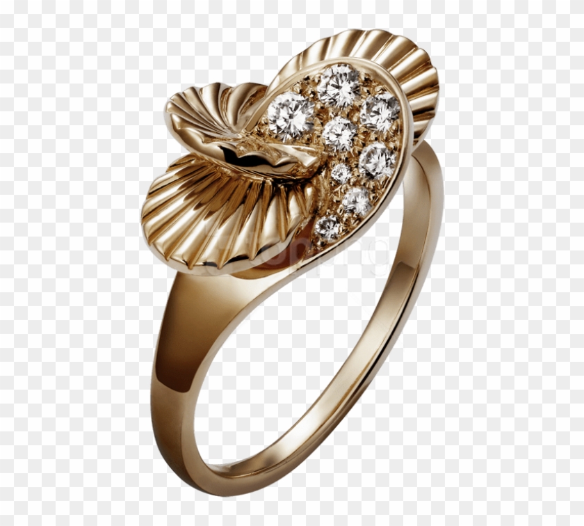 Free Png Download Elegant Golden Ring Clipart Png Photo Transparent Png #1880834