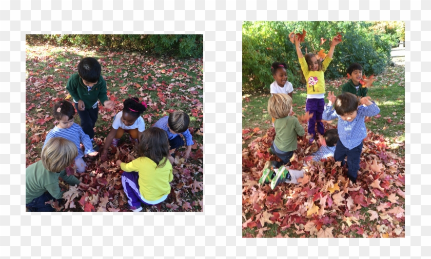 The Toddlers Used First Their Hands, Then Rakes And - Child Clipart #1881613