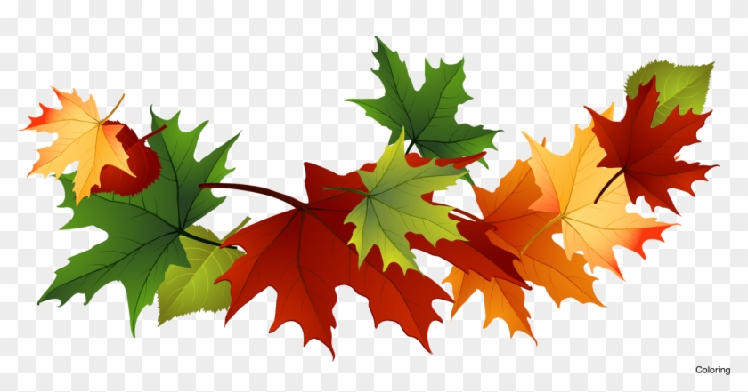 Svg Free Stock Majestic Autumn Leaves Clip Art Coloring - Png Download