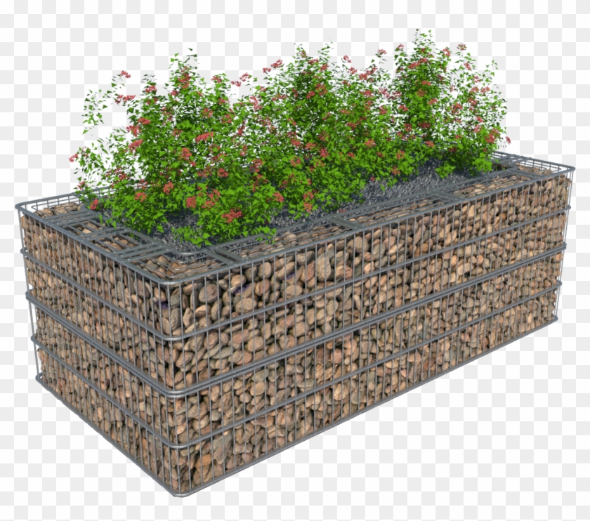 Flower Bed Png Clipart