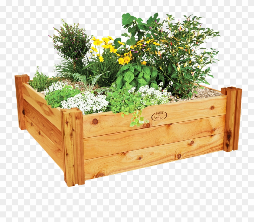 Flower Bed Png Clipart #1882695
