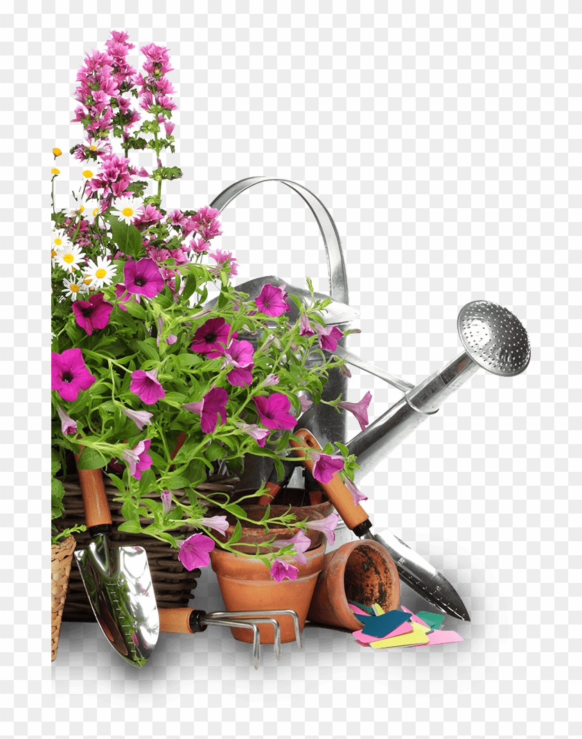 Flower Bed Png Clipart #1882807