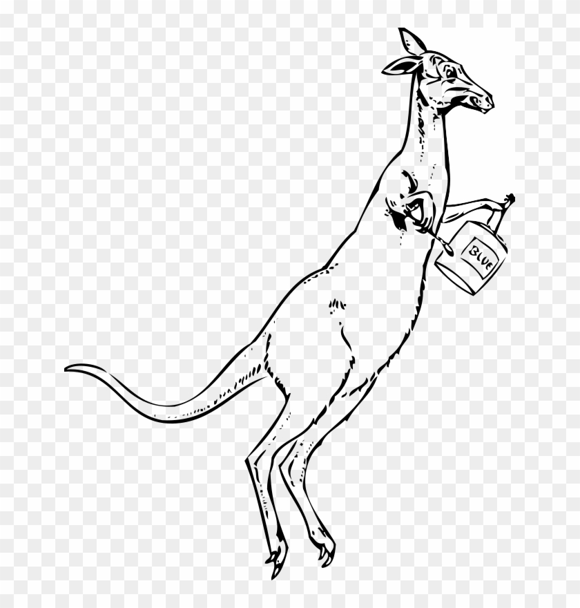 Cartoon Kangaroo Clipart