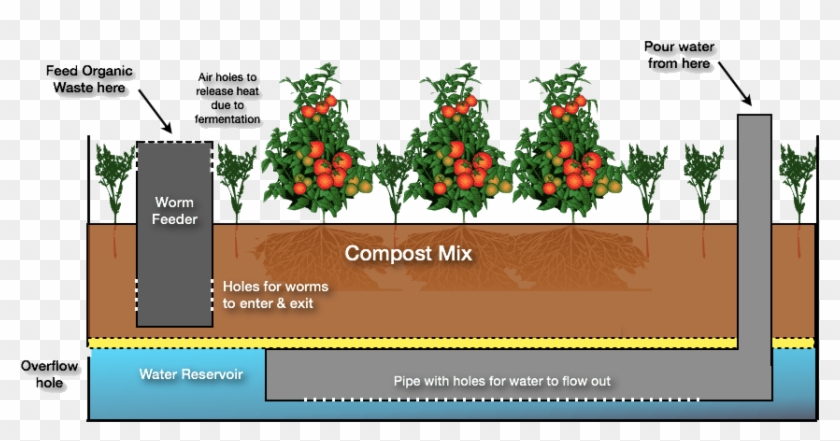 Wicking-bed Clipart #1883816