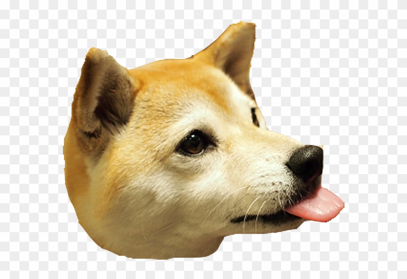Dog Head Png Clipart #1883856