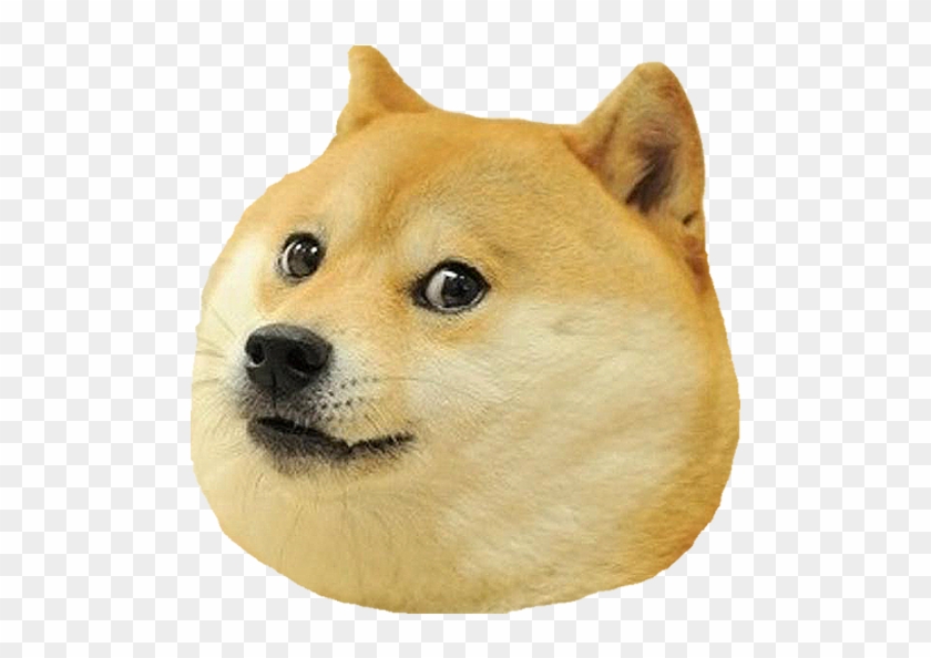 Dog Head Png Clipart