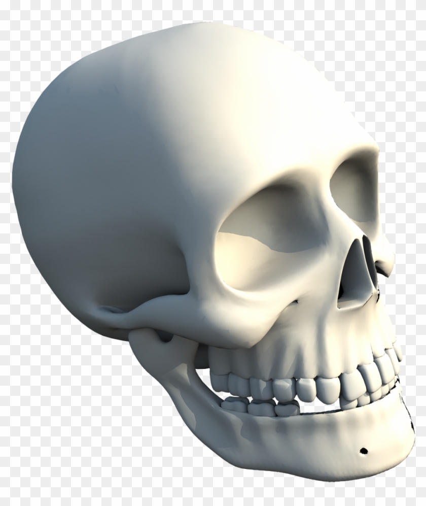 The Skull Of Human Clipart