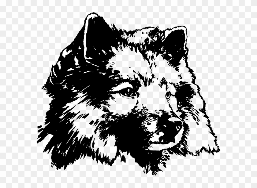 Dc00379 - Dog Yawns Clipart #1884423