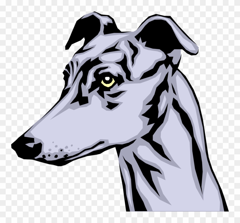 Vector Illustration Of Greyhound Race Dog Head - Greyhound Dog Clip Art - Png Download #1884518