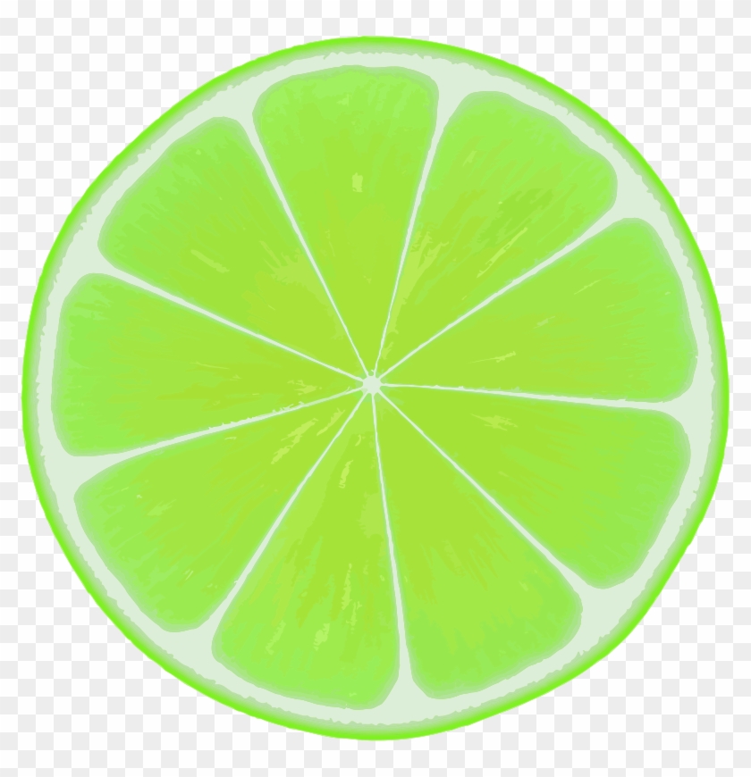 Medium Image - Sliced Lime Clip Art - Png Download #1884629