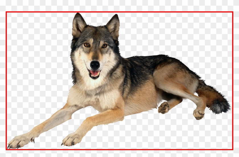 Awesome Dog Head Graphics Svg Dxf Eps Png Cdr Ai Vector Clipart