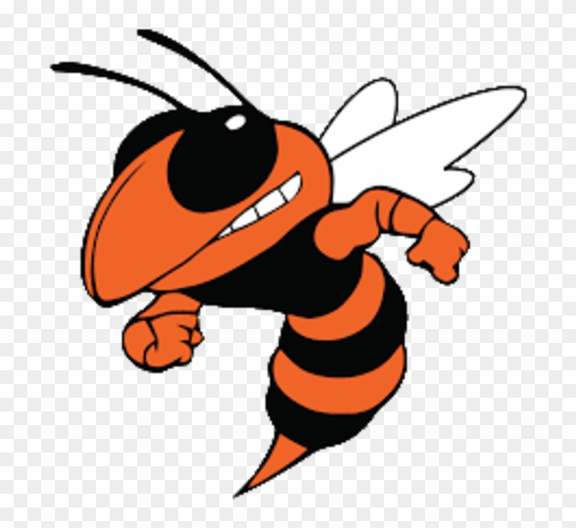 Hornet Clipart School - Png Download