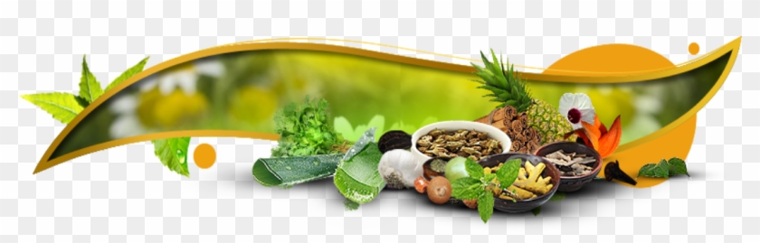 Naspex Natural Herbal Color - Herbal Natural Clipart #1885574