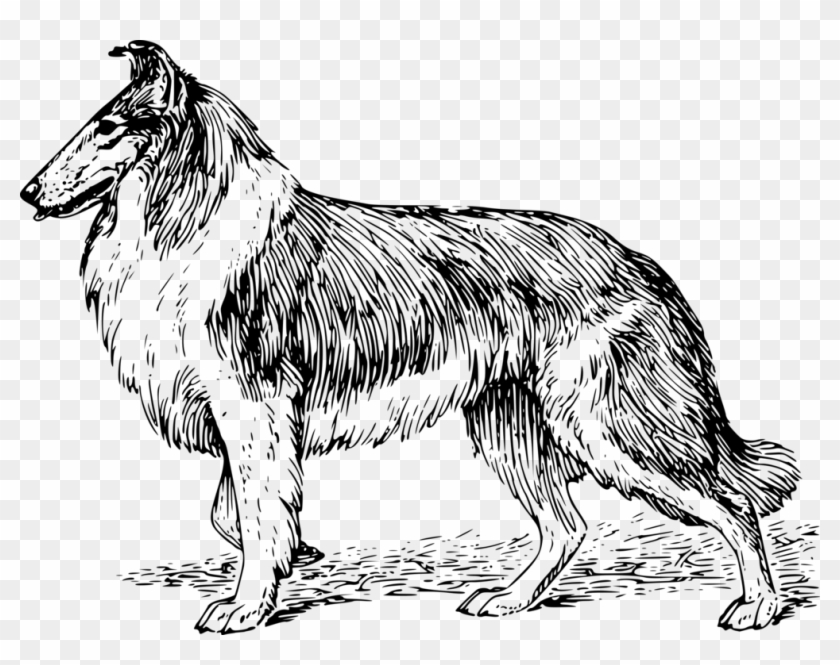 Border Collie Clipart Tribal - Black White Clip Art Collie - Png Download