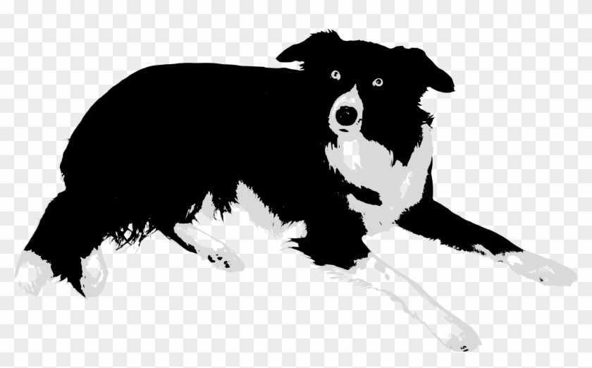 Border Collie Clipart Tribal - Border Collie Dog Clipart - Png Download