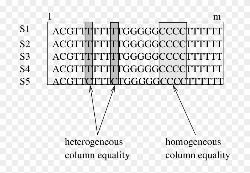 Heterogeneous And Homogeneous Columns Clipart