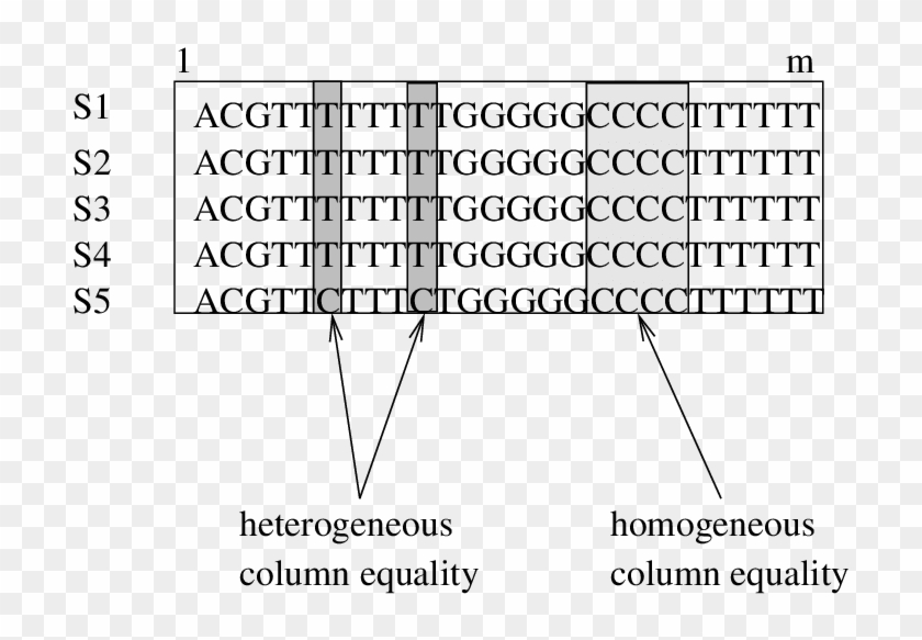 Heterogeneous And Homogeneous Columns Clipart #1886607