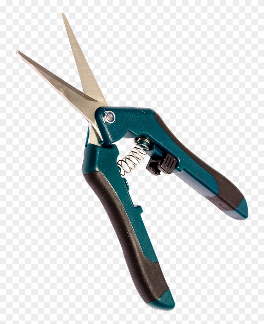 Con Las Tijeras Easy Bud, Conseguirás Un Acabado Perfecto Clipart