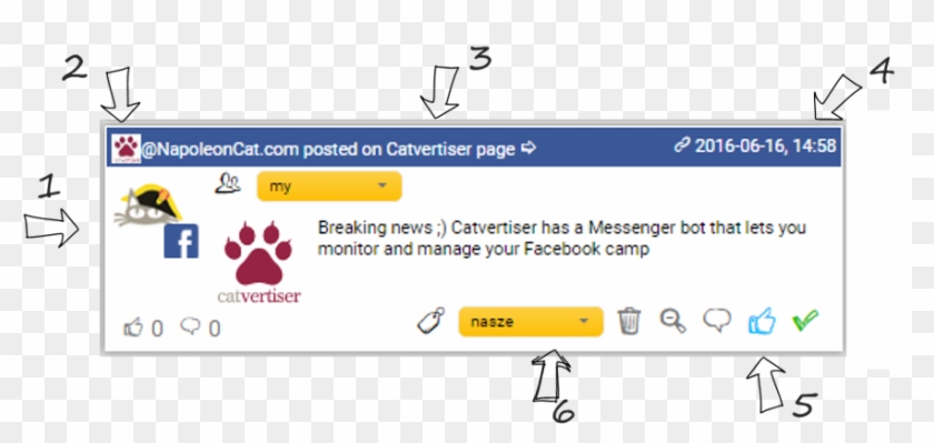Facebook, Instagram And Twitter Content In One Social - Napoleon Cat Clipart