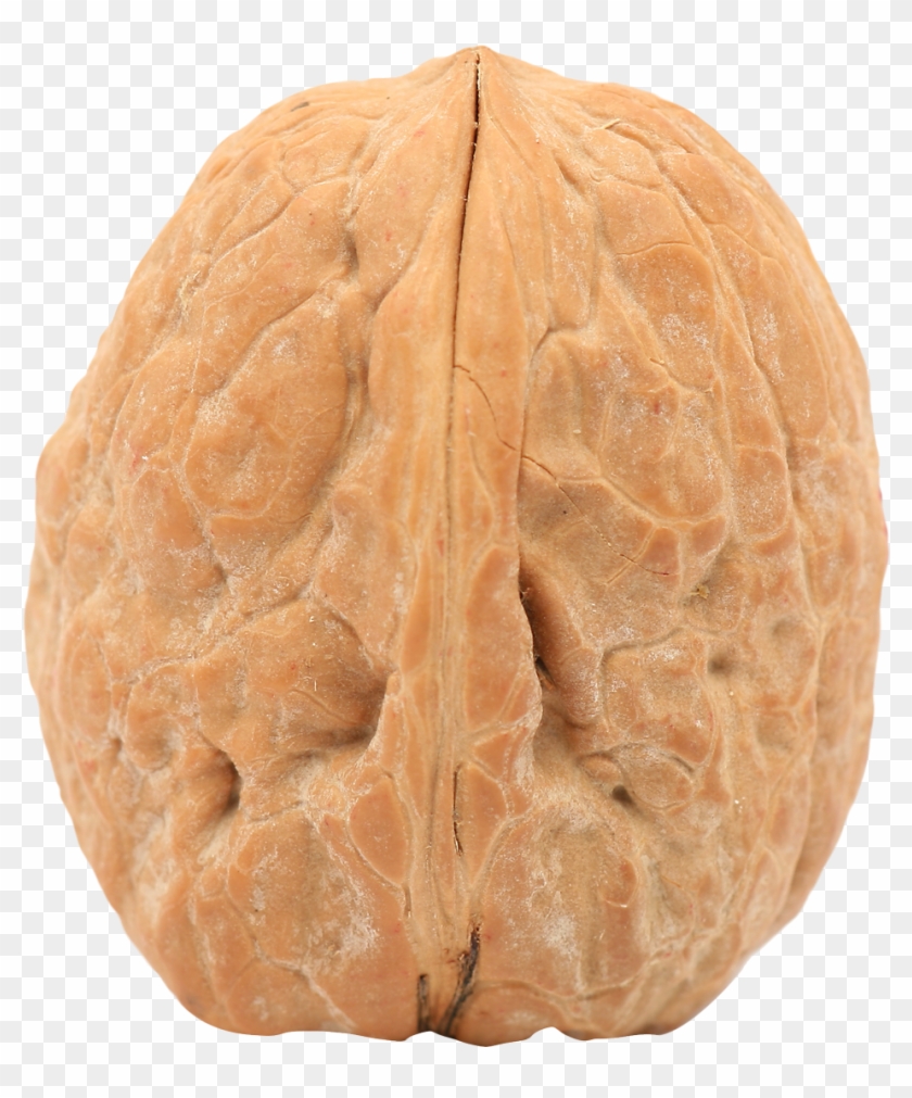 Walnut Png - Walnut Transparent Background Clipart #1889222