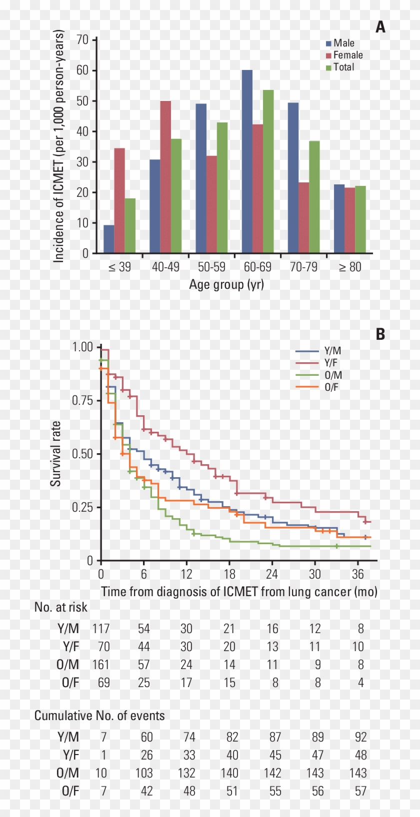 Bar Graph Shows Detailed Statistics Of Incidence By - Lung Cancer Age Bar Graph Clipart