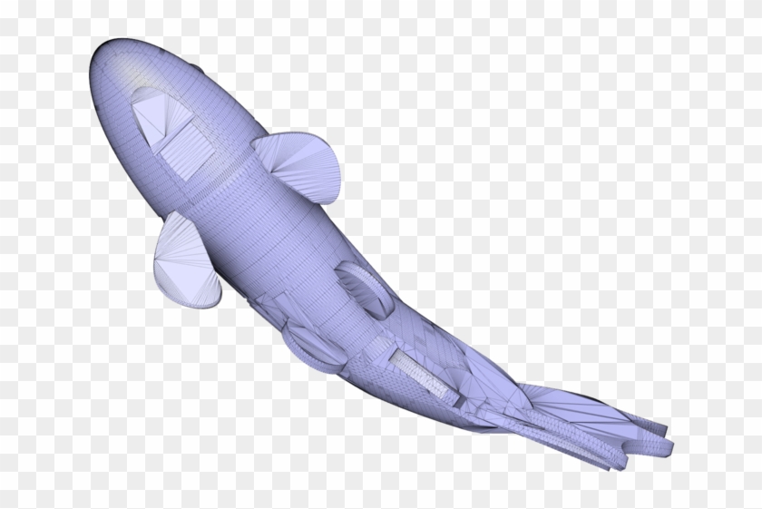 Koi Fish V2 - Tiger Shark Clipart