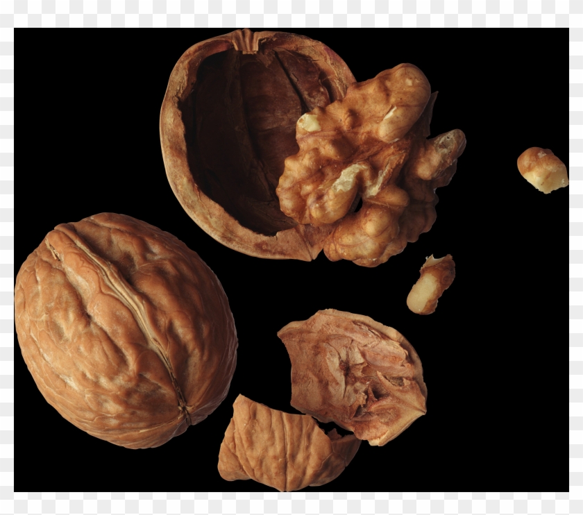 Walnut Png Clipart