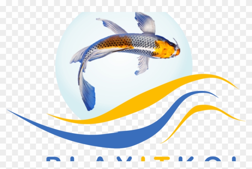 Play It Koi Clipart #1889882