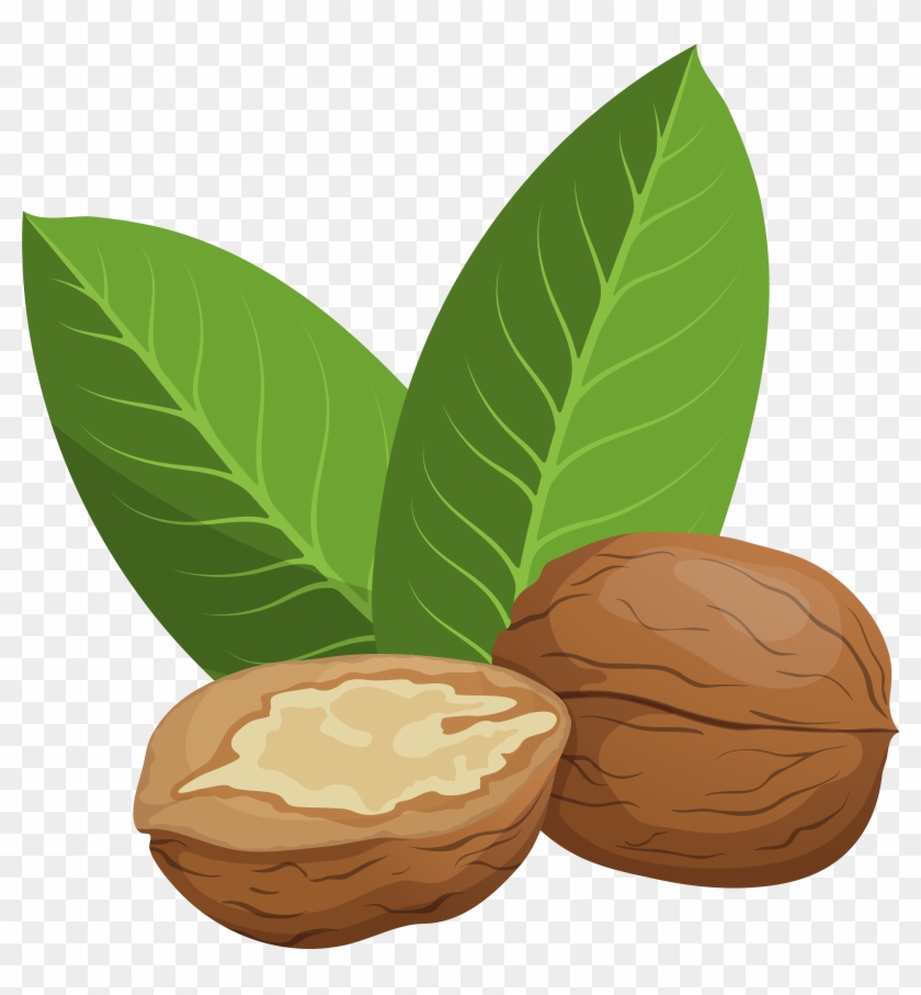 Walnuts Png Clip Art Transparent Png #1889999