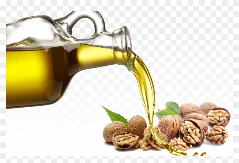 Walnut - Anointing Oil Png Clipart