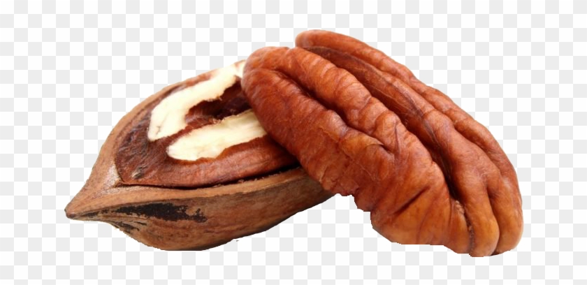 Walnut Png Clipart #1890198