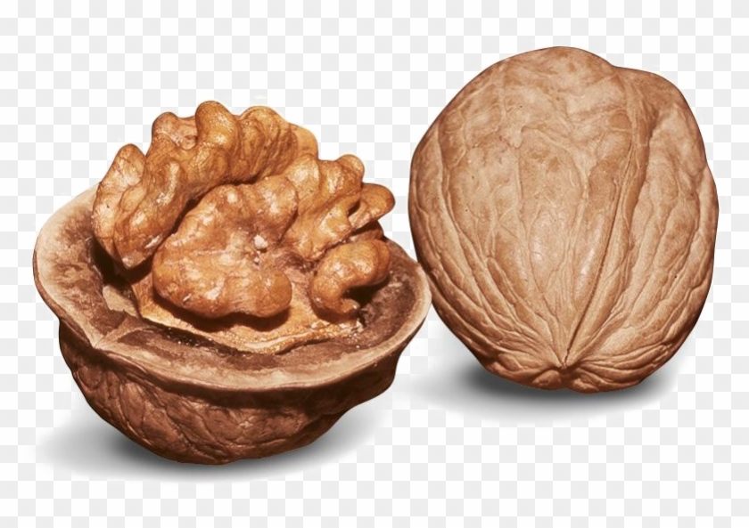 Walnut Png Image Clipart #1890464
