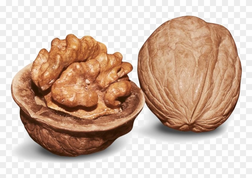 Walnut Png Image Clipart