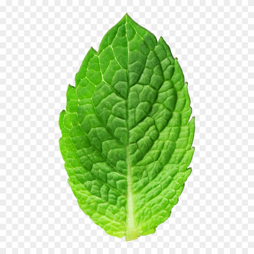 Fabric Texture Png Clipart