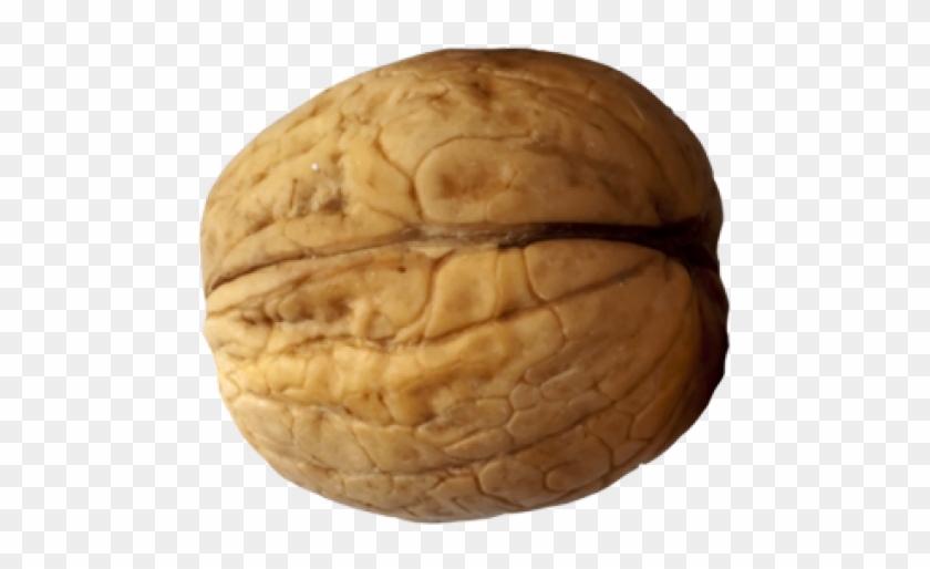 Walnut Png Clipart
