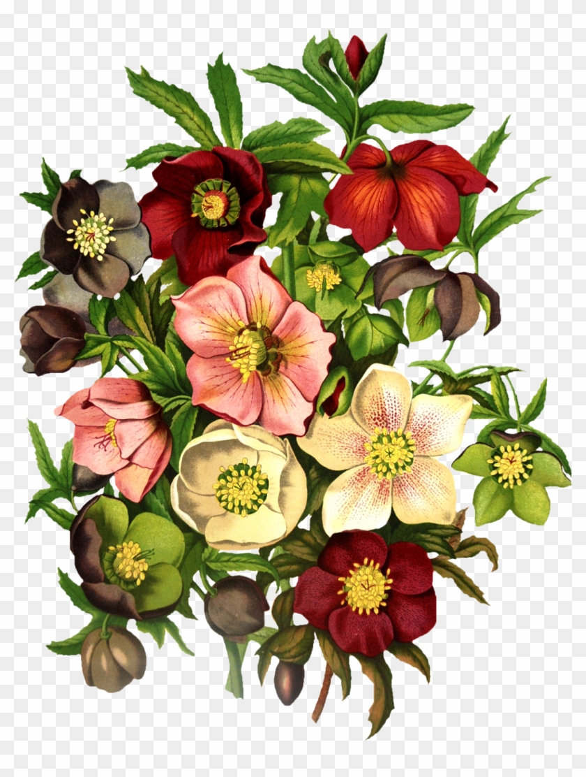 Vintage Floral Png Clipart #1891437