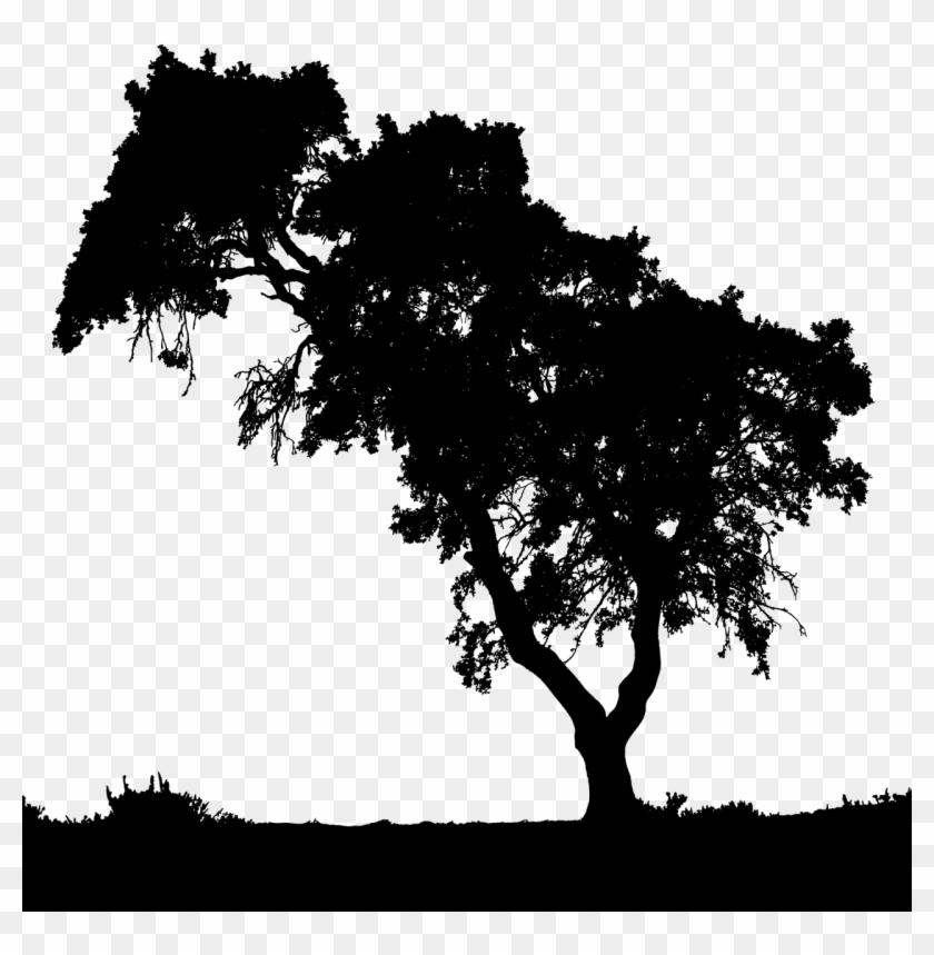 Landscape Trees Silhouette Clipart