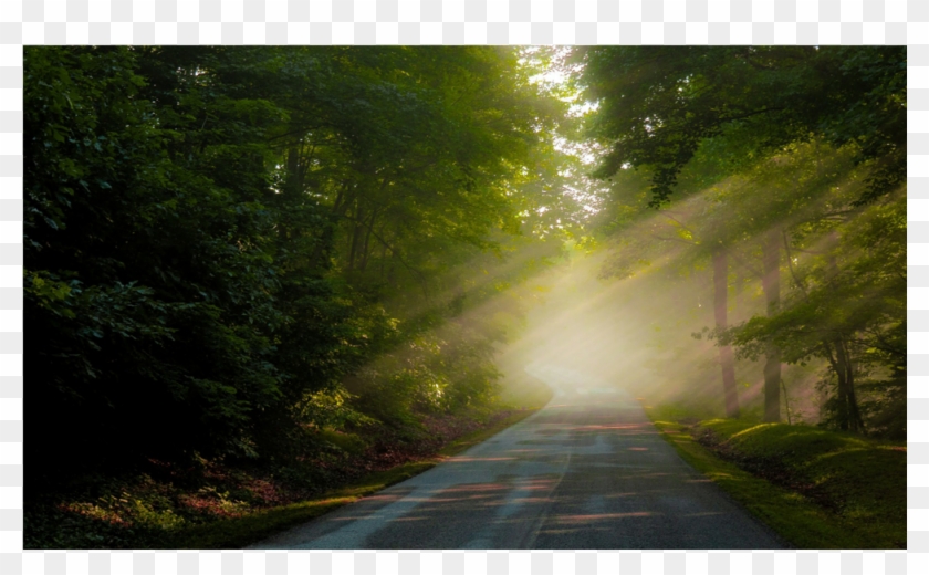 Green Lens Flare Png Clipart #1891505