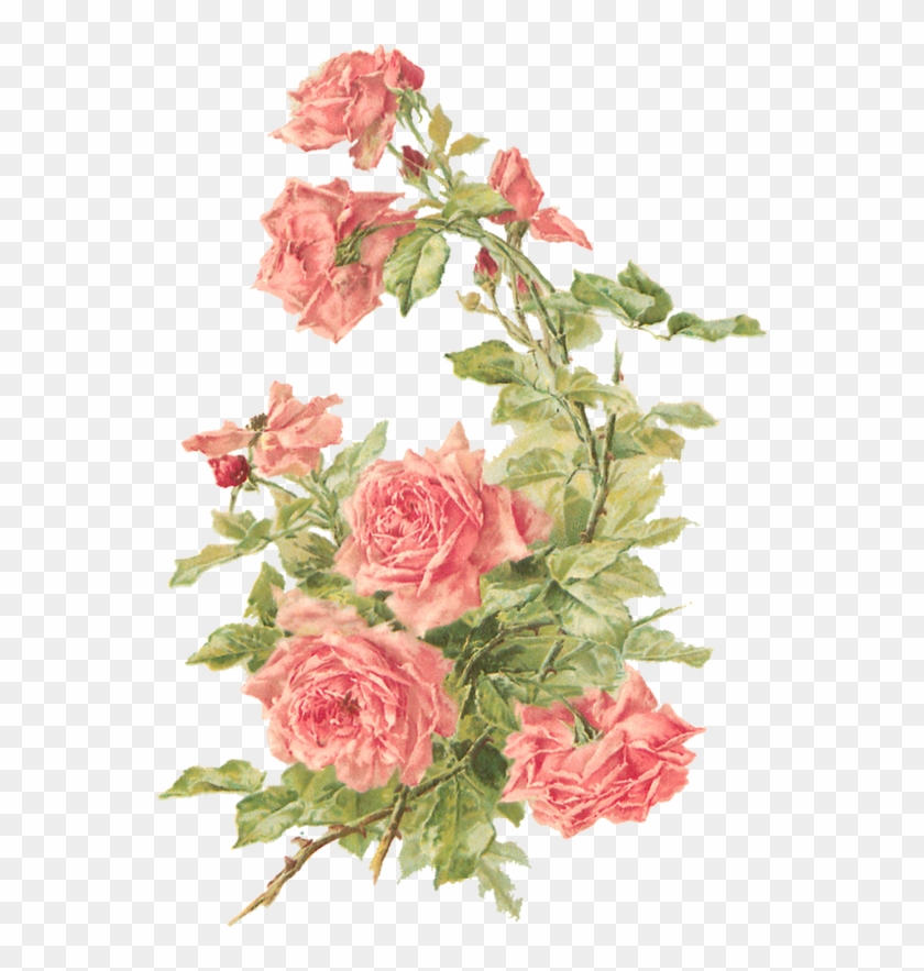 Vintage Floral Png Clipart #1891884