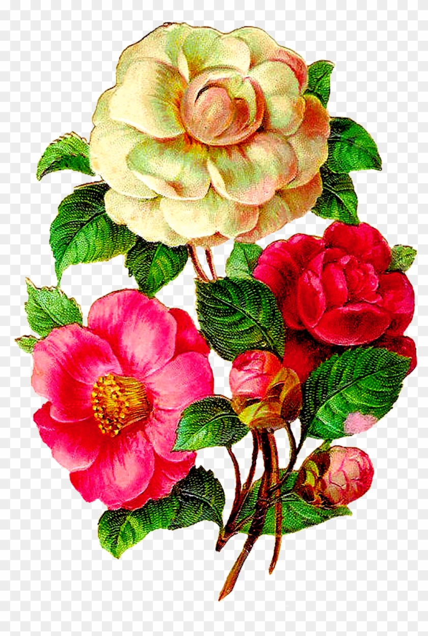 Vintage Flower Illustration Png Clipart #1892006