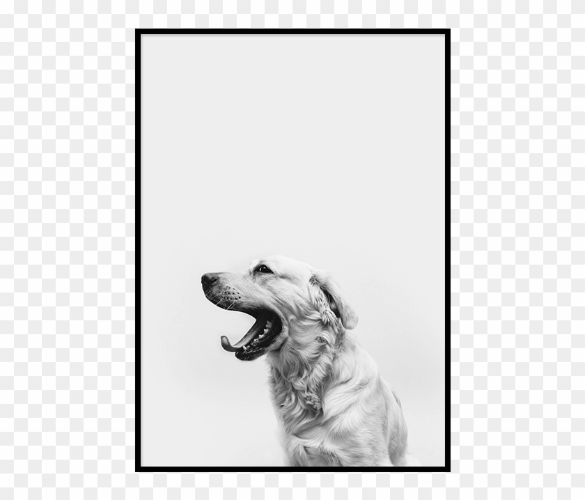 Dog Print Png Clipart