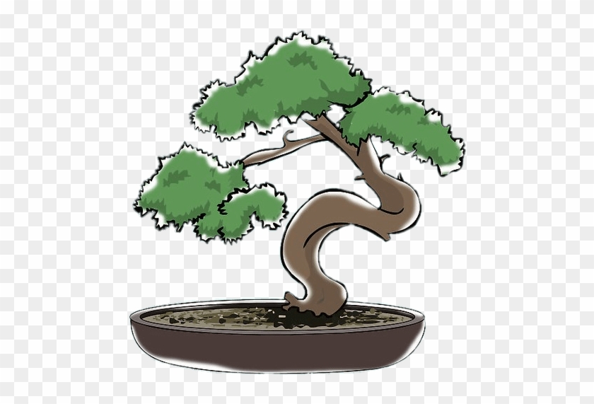 Bonsai Clipart - Bonsai Dibujo Png Transparent Png #1892304