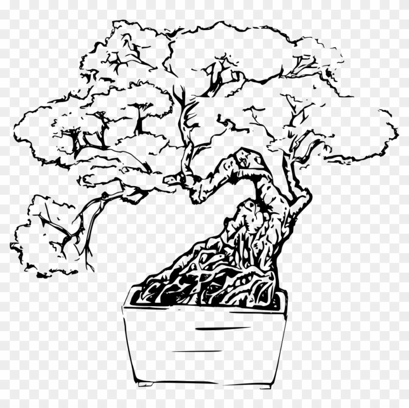 Download Png - Bonsai Tree Black And White Clipart